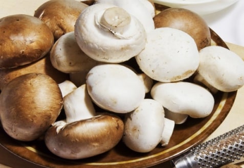 Grzyby przedłużają życie